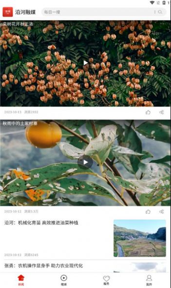 沿河融媒