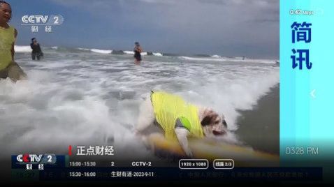 春阳电视3.2.06最新去密码版