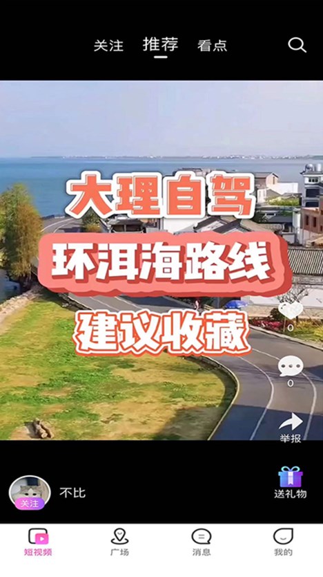 游条