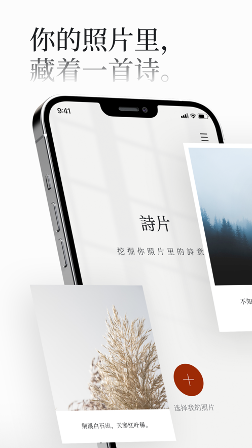 诗片app下载最新版