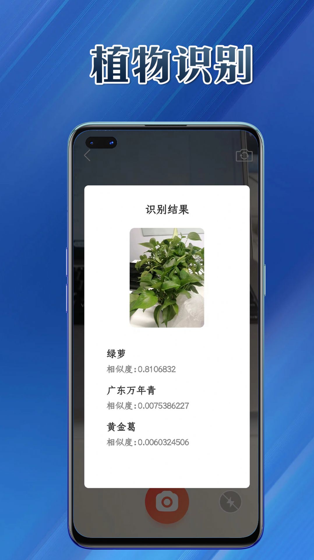提效大师安卓版