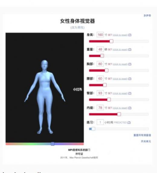 Body