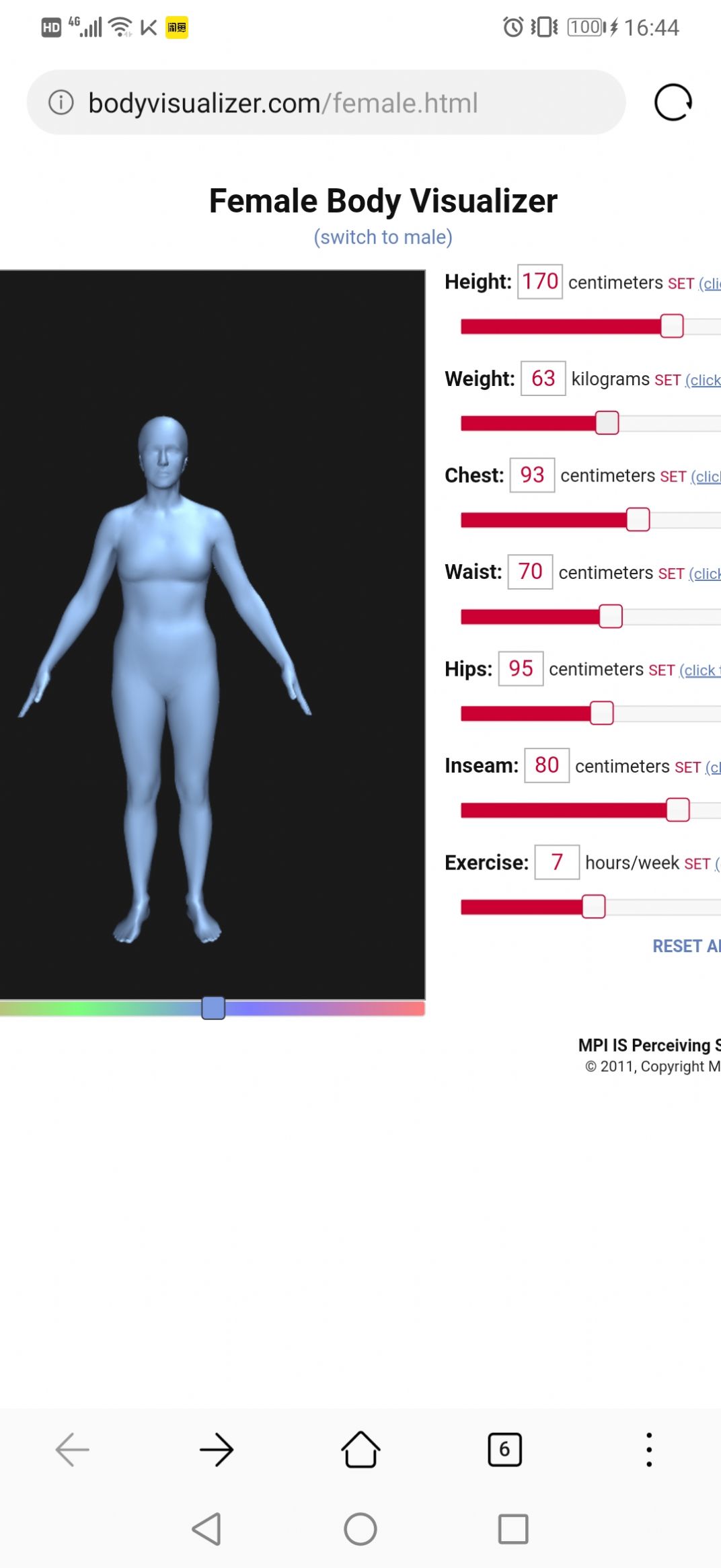 Body