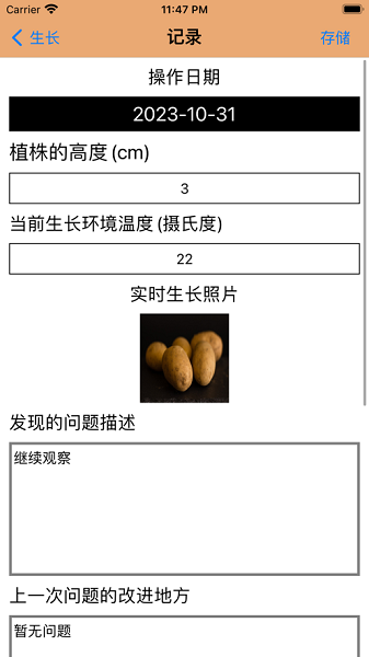 土豆探究