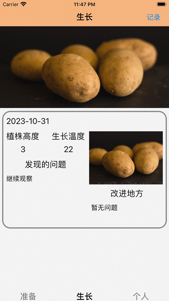 土豆探究