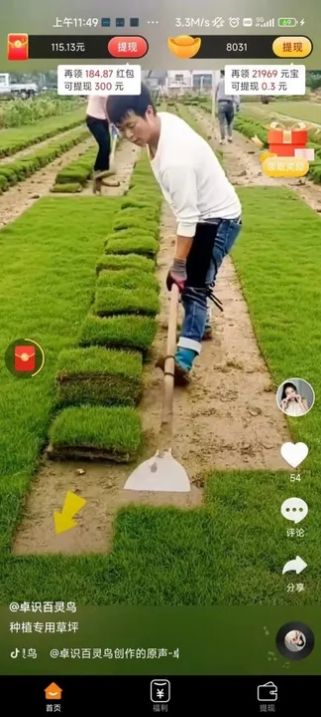 喜多宝