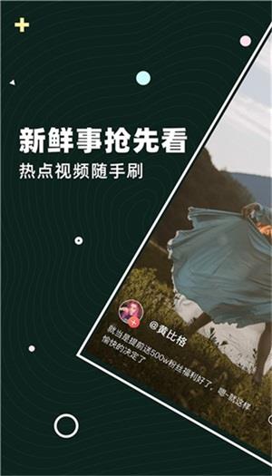 茶豚短视频