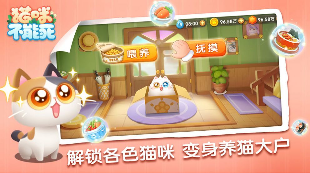 猫咪不能死游戏