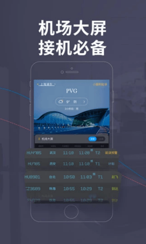 非常准业内版(飞常准)