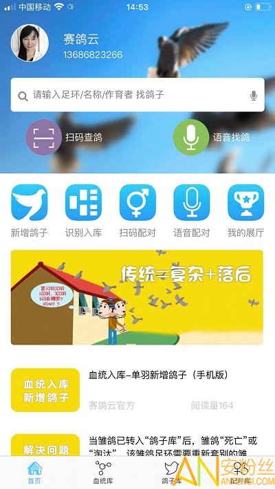 赛鸽云软件