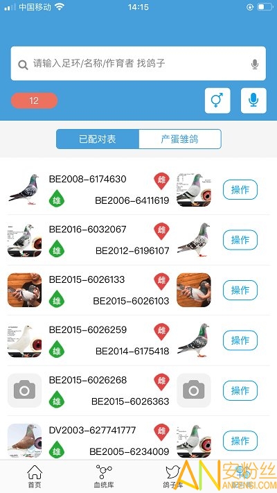 赛鸽云软件