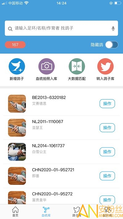 赛鸽云软件
