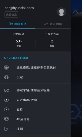 bluelink最新版