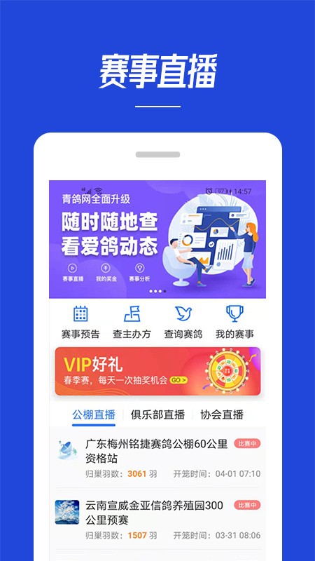 青鸽网app