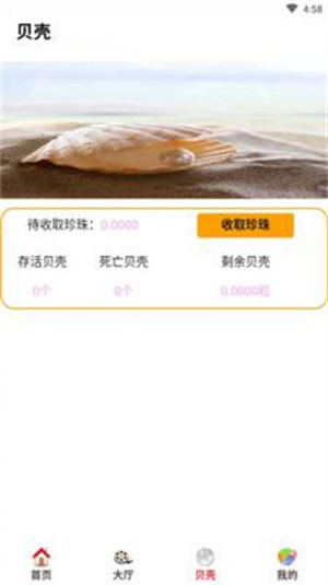 贝壳影视
