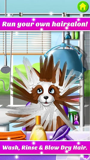 Hair