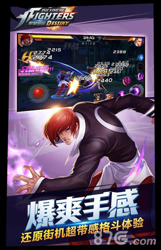 拳皇命运测试版