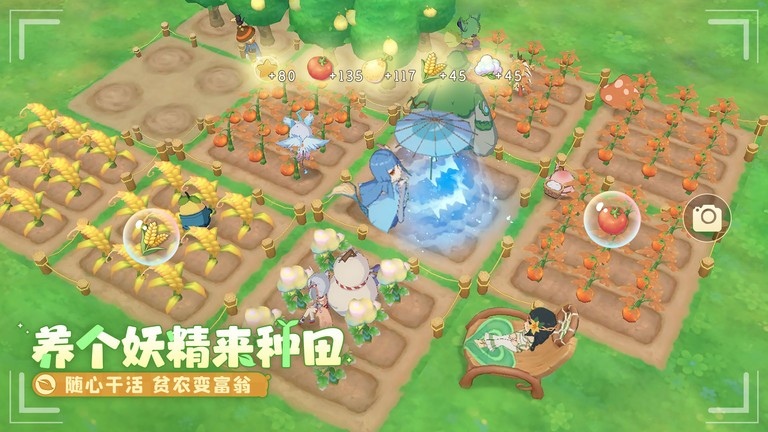 织梦森林游戏