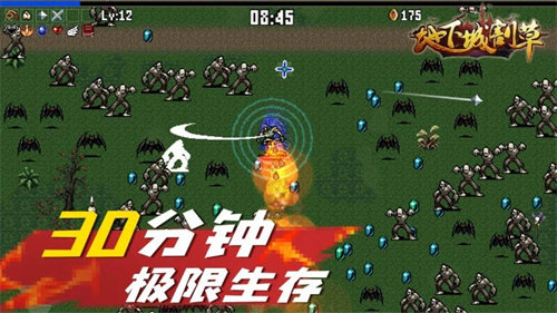 地下城割草手游