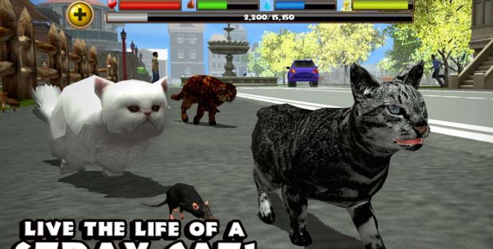 模拟流浪猫中文版