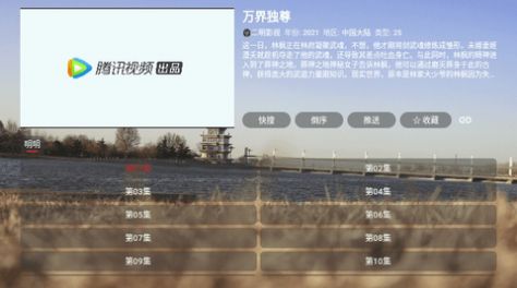 智字影视