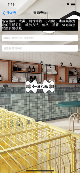 佳友宠