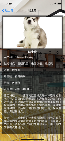 佳友宠