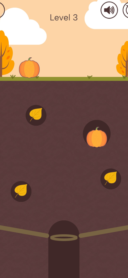 Pumpkin
