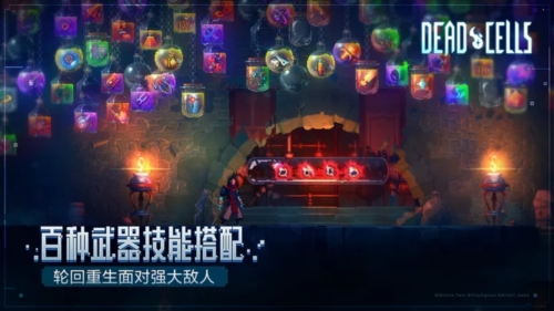 重生细胞vivo客户端