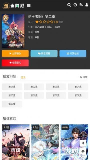金阿尼动画