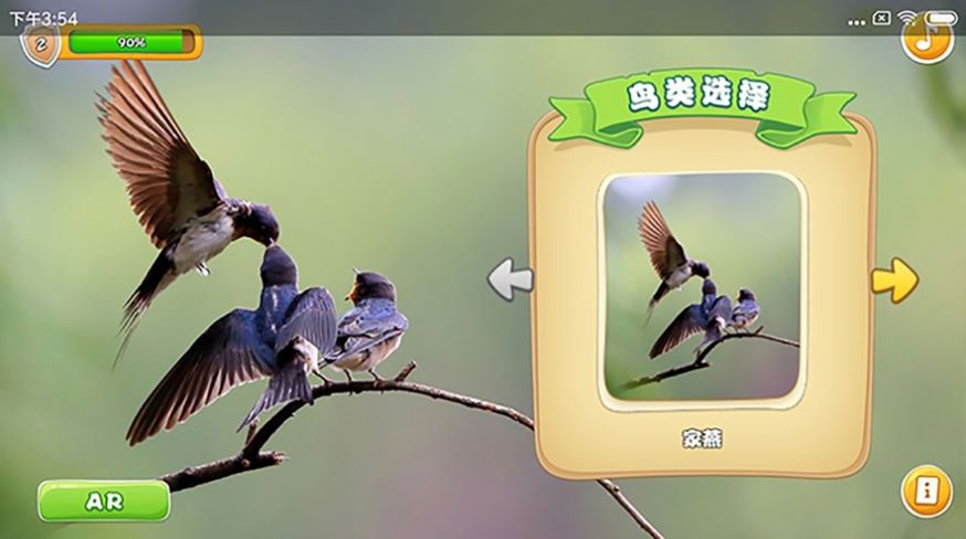 身边的鸟