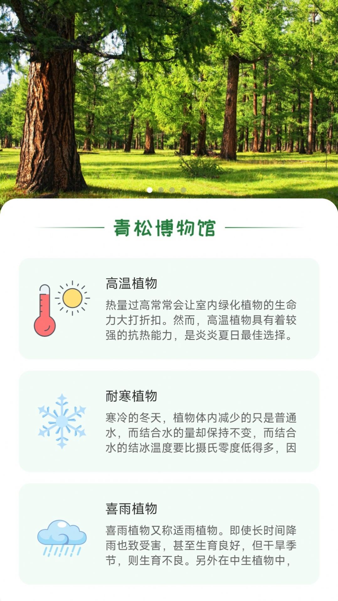 青松奇源手机版