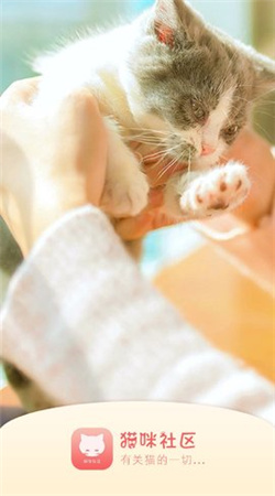 猫咪社区