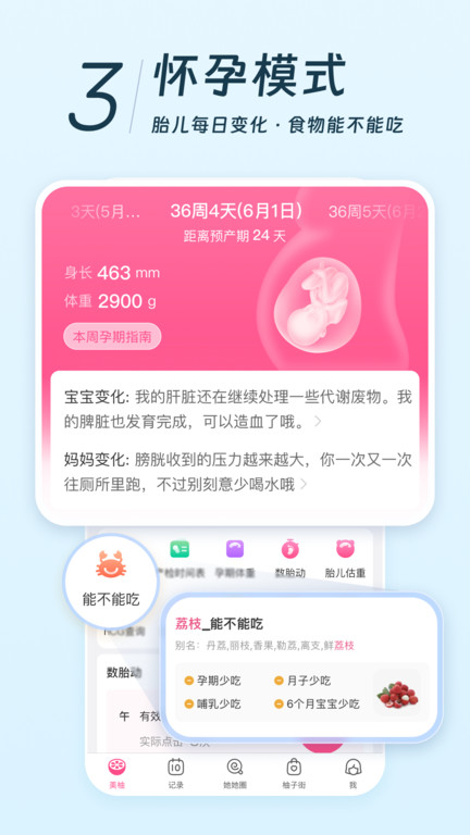 美柚经期助手app