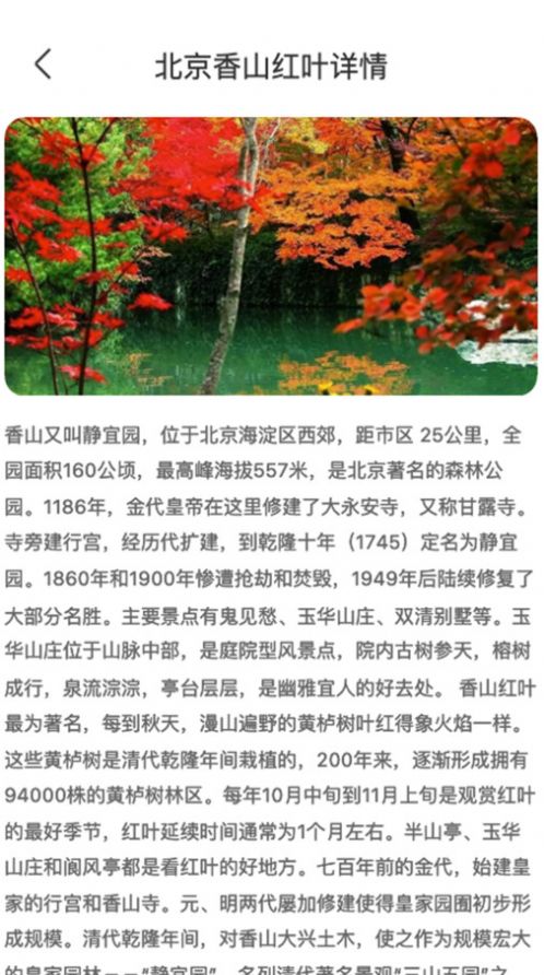 枫叶悦看软件