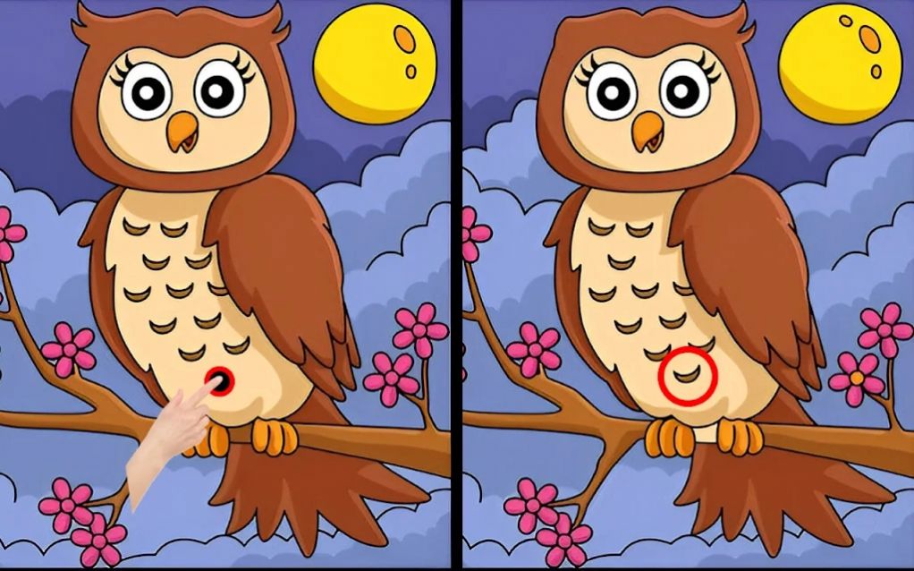 差异寻找并发现游戏