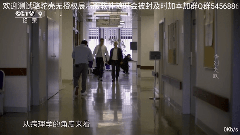 骆驼直播tv最新版