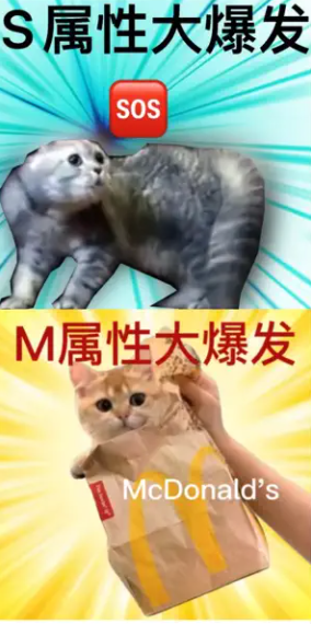 SM属性大爆发软件