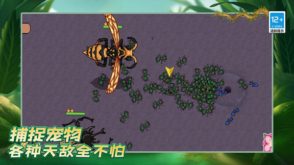 蚂蚁之王复仇版游戏