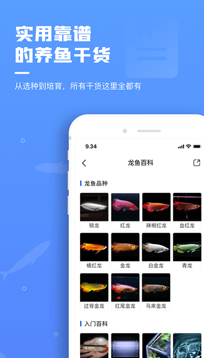 鲲天下官方版