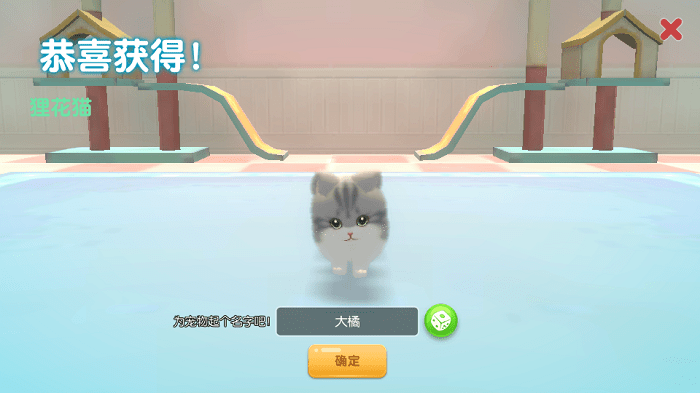 养了个猫2023最新版