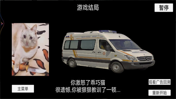 猫猫惊魂夜游戏