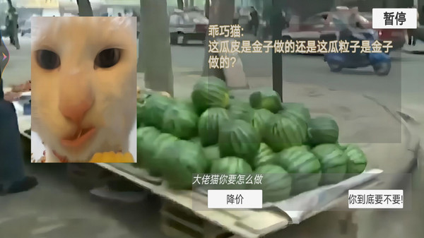 猫猫惊魂夜游戏