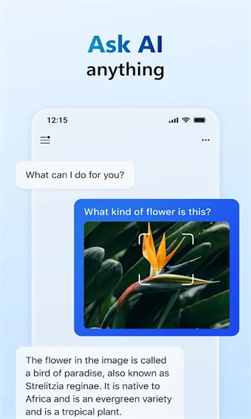 copilot软件