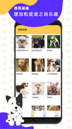猫狗翻译神器app