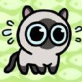 丛林冒险猫游戏