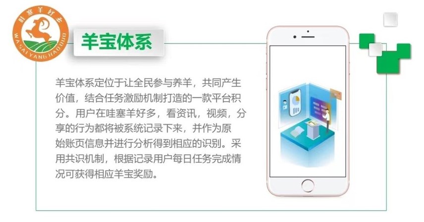 哇塞羊好多