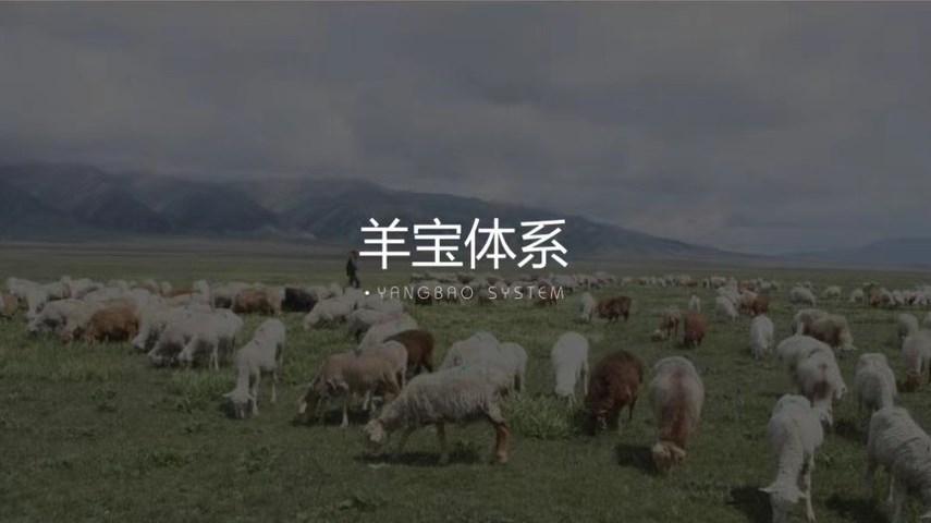 哇塞羊好多