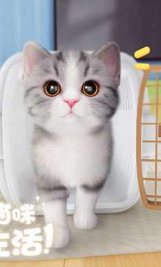 我和我的猫手游