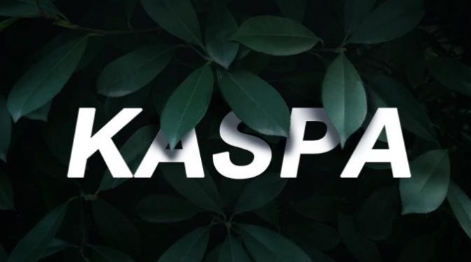 Kaspa币